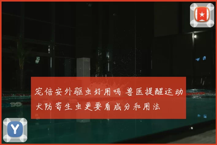 宠倍安外驱虫好用吗 兽医提醒运动犬防寄生虫更要看成分和用法