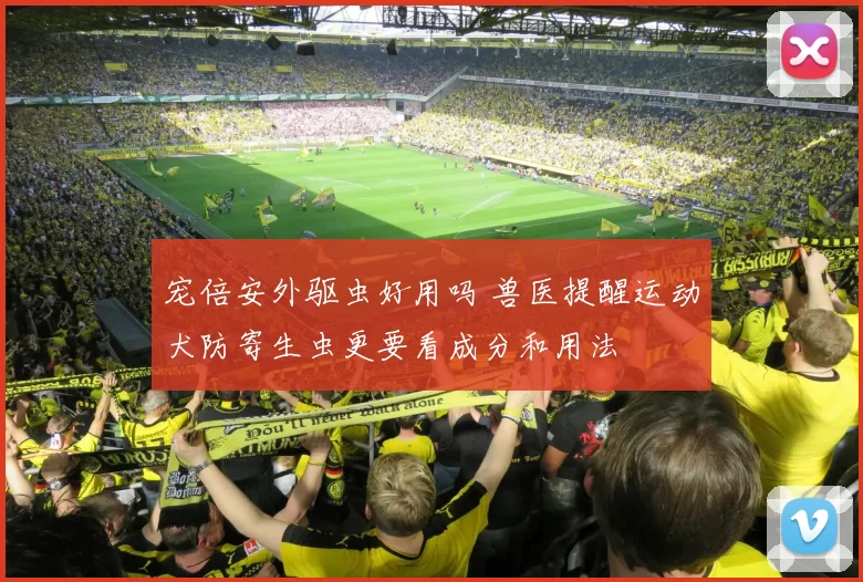 宠倍安外驱虫好用吗 兽医提醒运动犬防寄生虫更要看成分和用法