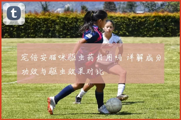 宠倍安猫咪驱虫药好用吗 详解成分功效与驱虫效果对比